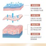 寡肽密集修護精華